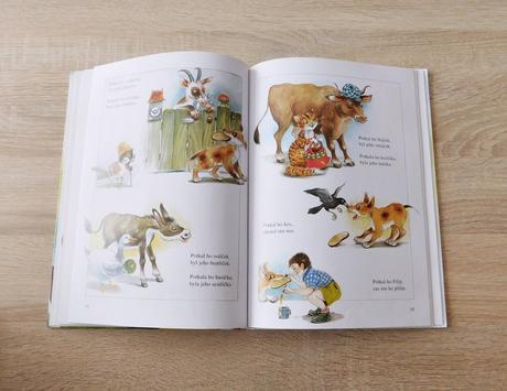 Kniha špalíček pohádek a říkadel, 