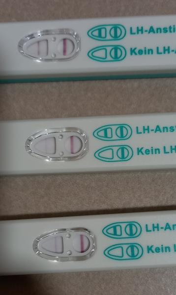 Může být první ovulační test pozitivní? Zjistěte více!