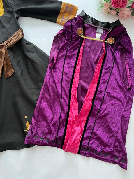 An13/ kostým anna frozen ii - v.3/4 roky, 