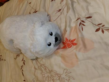 Plyšový polštářek lední medvěd, 