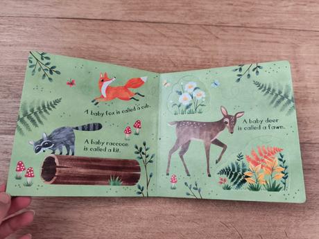 Knížka s otevíracími okýnky / lift-a-flap-book,