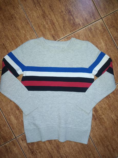 Svetřík, palomino,122