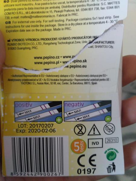 Duch na těhotenské testu