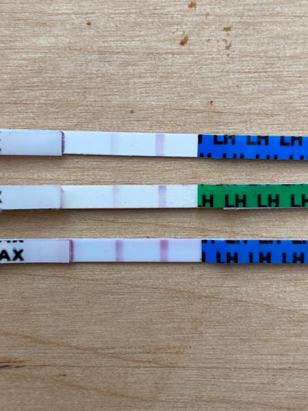 Ovulační test. Pozitivní? Co myslíte?