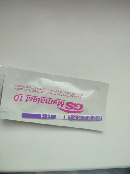 Těhotenský test a slabá čárka. Mohu být těhotná?