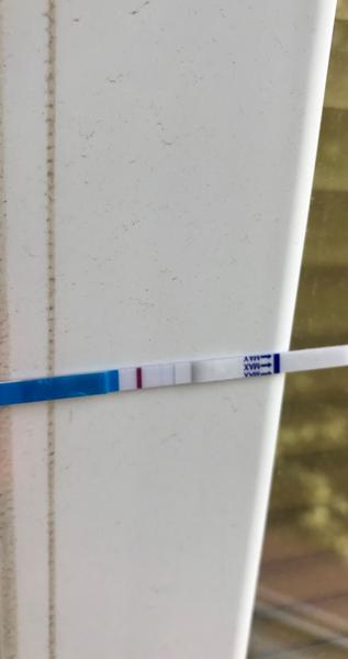 Den zpoždění. Měly jste ducha, nebo by měla být pořádná čárka?