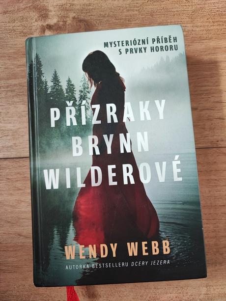 Kniha přízraky brynn wilderové, 