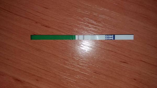 Byla ovulace? Máme se dnes ještě snažit?