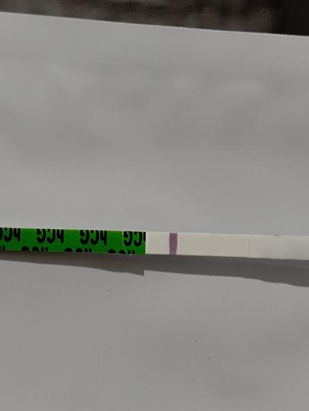 Pozitivní test na těhotenství? Sdílejte své myšlenky a zkušenosti