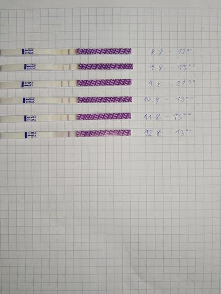 Ovulace. Kdy mohla proběhnout?