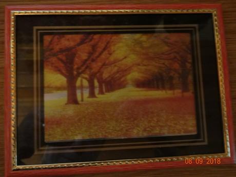 Obraz podzimní krajina,