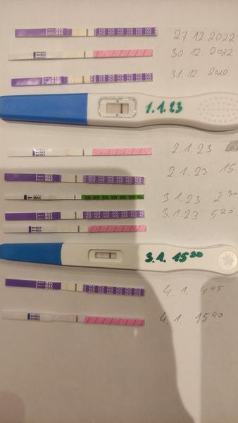 Jsem těhotná? Testy pozitivní, ale obavy přetrvávají