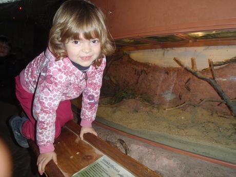 Vzorovaná mikina, bundička s motýlky, dopodopo,110