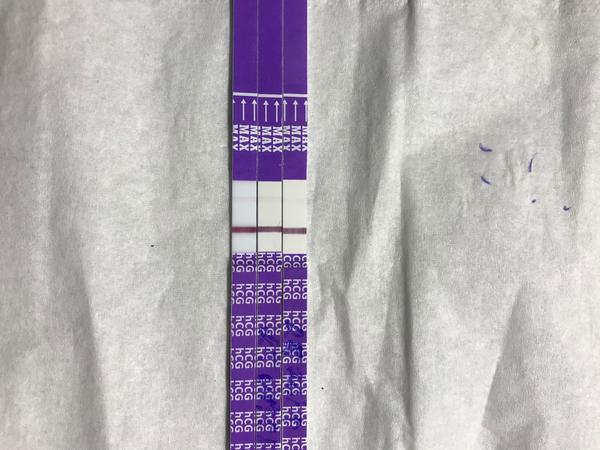 Prosím o radu....Sílí tt?