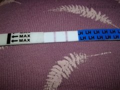 Ovulační test aneb těhotenský. Co si o tom myslíte?