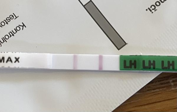 Je slabý duch na ovulačním testu pozitivní?