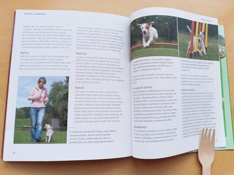 Parson a jack russell terriér - karin wegner, 