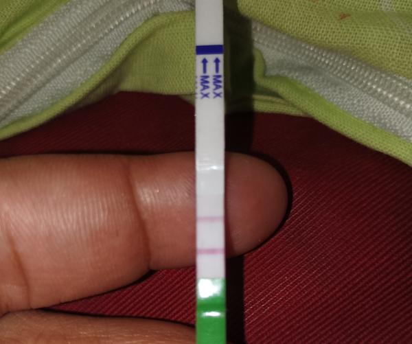 Je vidět sílící ovulace na testech z února?