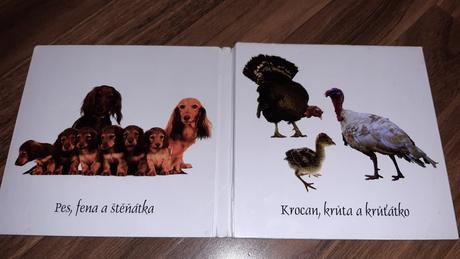 Mláďátka - na venkově,