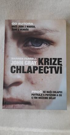 Kniha krize chlapectví,