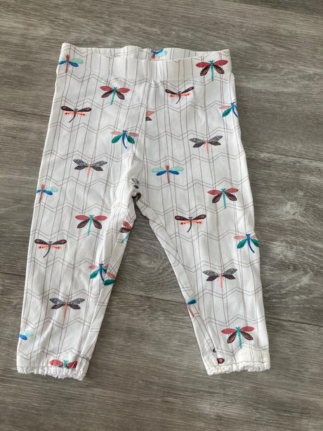 Leginy vážky, next,74