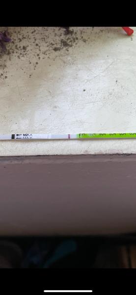 Povedl se náš test? Diskutujte s námi!