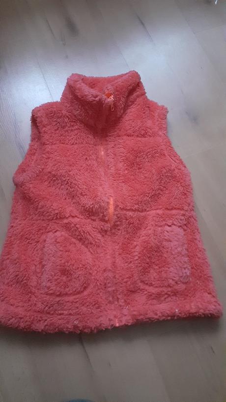 Vesta chlupatka, 116