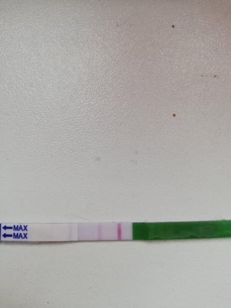 Je tohle pozitivní ovulační test?