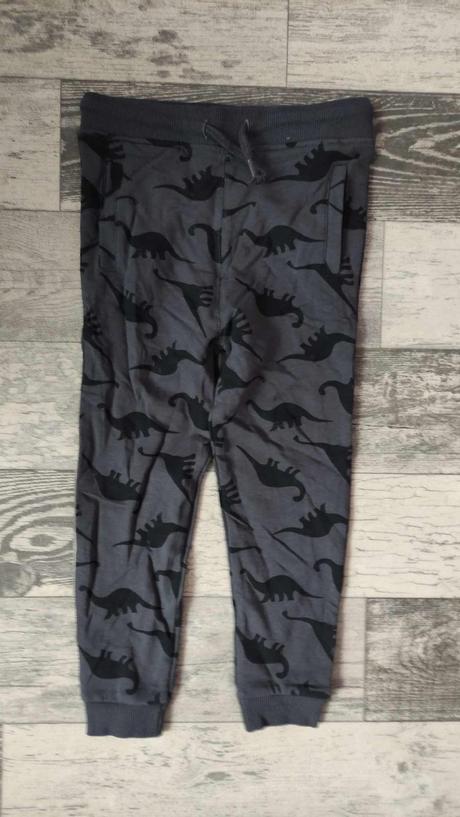 Tepláky chlapecké dino 104/110, george,104