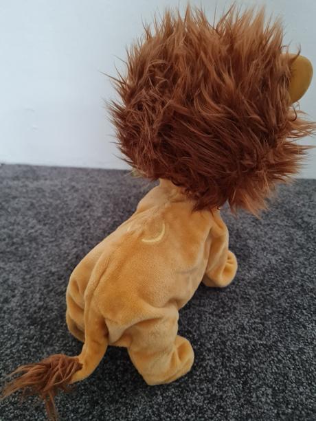 Interaktivní lvíček kokum,