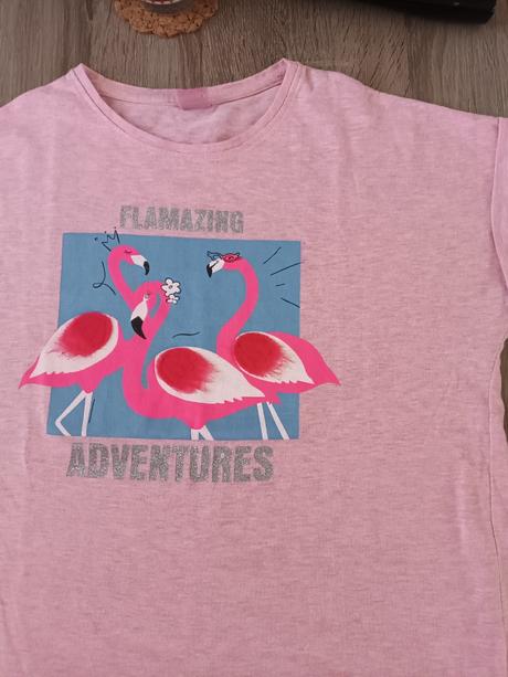 Dívčí triko světle růžové plameňák krátký rukáv, 158