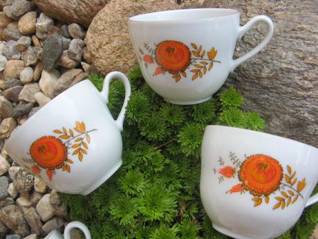 Šálky s šípkem-6ks+dárek,