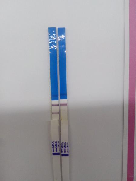 Slabá čárka na testu