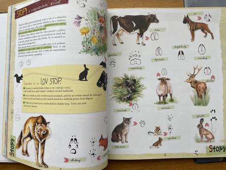 Kniha dobrodružství v přírodě 1, 