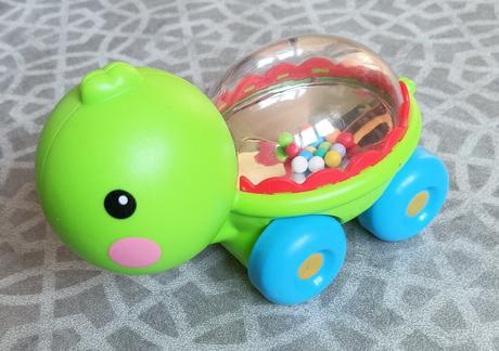 Želva jezdící, chrastící, 