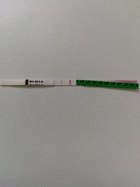 Kdy je ovulační test skutečně pozitivní?