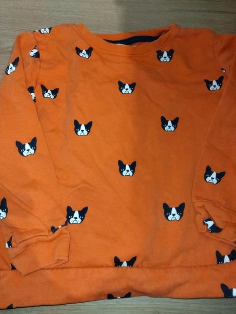 Mikina s pejsky holly whyte 122 lindex, lindex,122