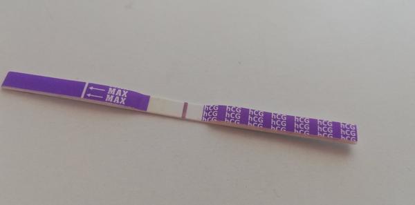 Možné těhotenství s negativními testy. Co si o tom myslíte?