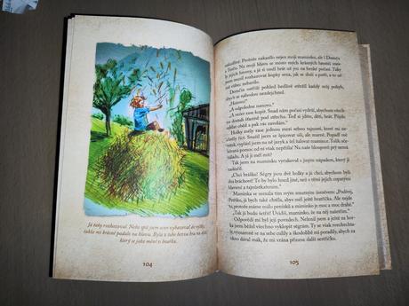 Kniha o petříkovi,