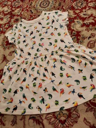 Tropické šatičky, next,98