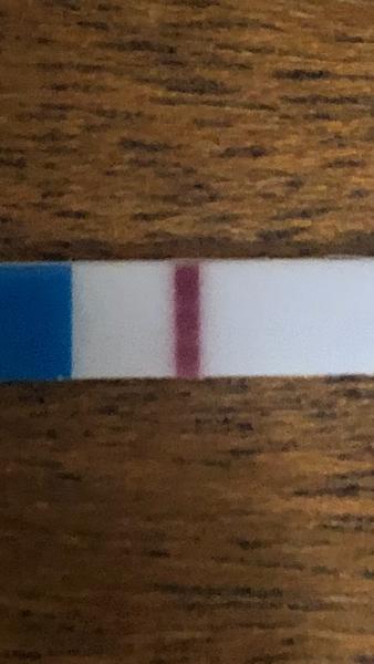 Jsem těhotná, když mám dvoudenní zpoždění menstruace?