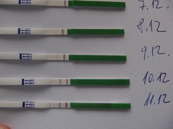 Tak kdy se snažit? 🙂