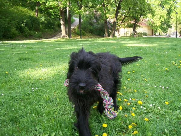 Někdo na společný sport v Praze 5?