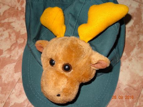 Zelená kšiltovka, 116