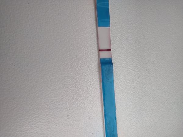 Čárka nebo jen ryska???