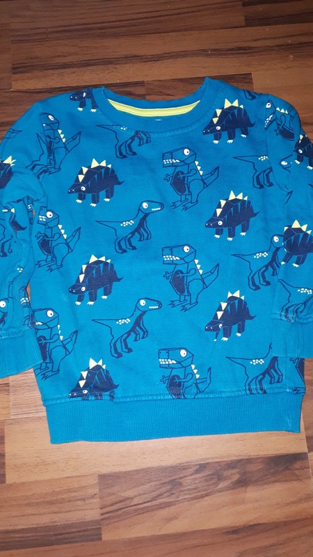 Tyrkysová mikina s dinosaury 110 bluezoo, bluezoo,110