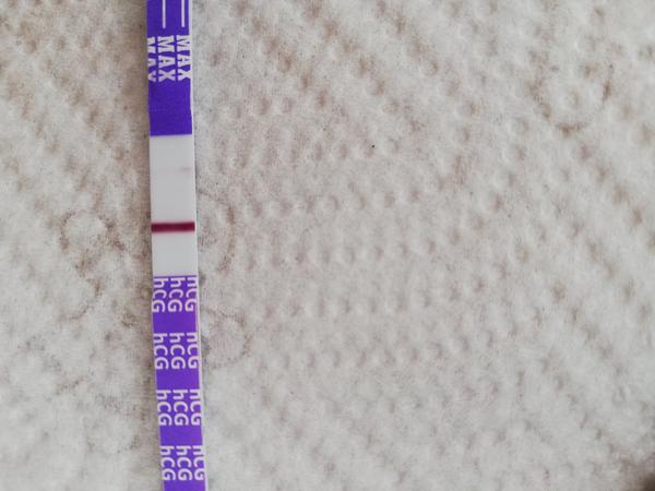 Dnes 11 dpo. Myslíte, že jsem těhotná?