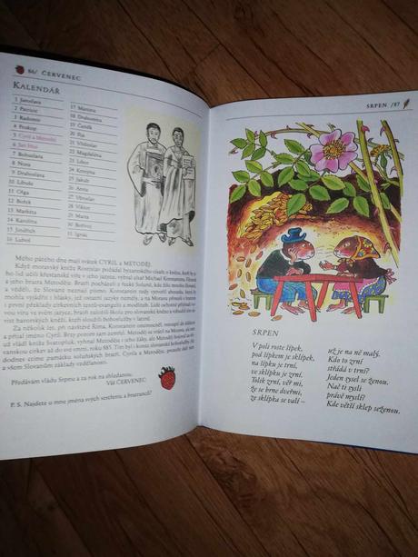 Kniha - barevný rok, 