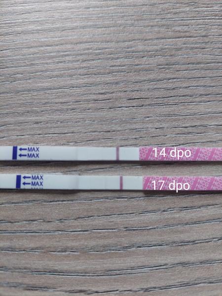 Slabý těhotenský test. Je ještě naděje na úspěch?