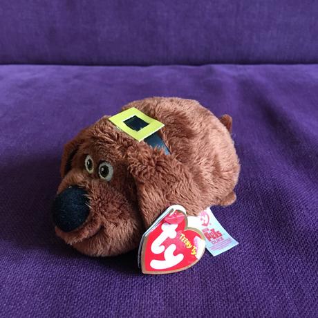 Plyšový psík/pejsek/hafuša,